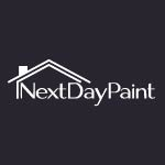 Next Day Paint logo